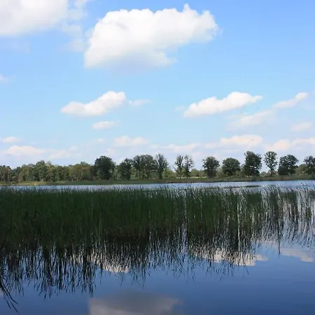 Appelvink, Toplocatie In Bosrijke Omgeving * Ойстервейк