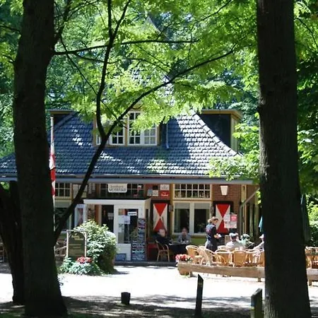 Appelvink, Toplocatie In Bosrijke Omgeving 木屋 奥斯特韦克