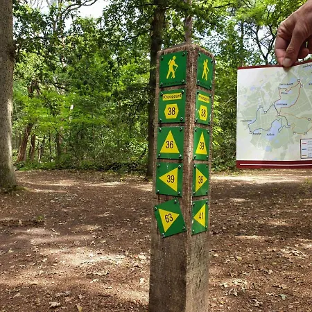 Шале Appelvink, Toplocatie In Bosrijke Omgeving