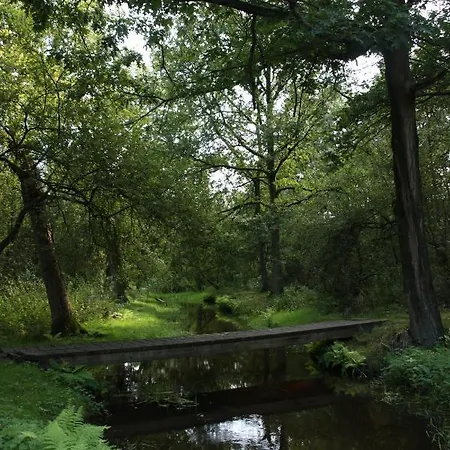 木屋 Appelvink, Toplocatie In Bosrijke Omgeving *
