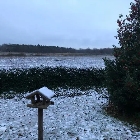 Appelvink, Toplocatie In Bosrijke Omgeving * 奥斯特韦克
