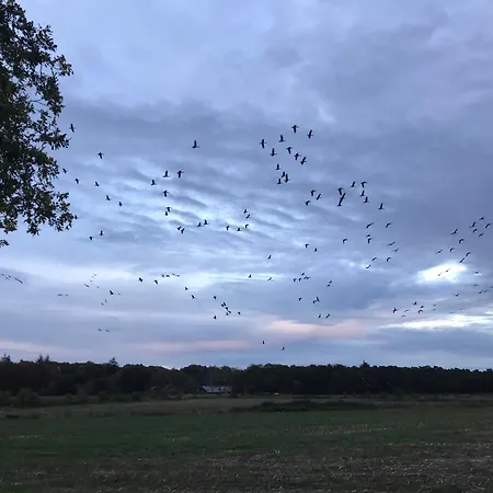 Appelvink, Toplocatie In Bosrijke Omgeving * Ойстервейк