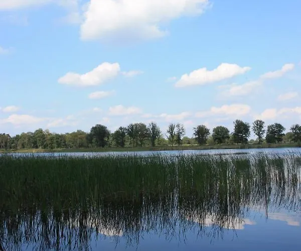 Appelvink, Toplocatie In Bosrijke Omgeving * オーイステルウェイク