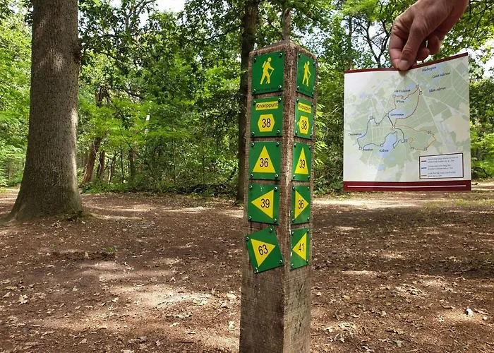 シャレー Appelvink, Toplocatie In Bosrijke Omgeving