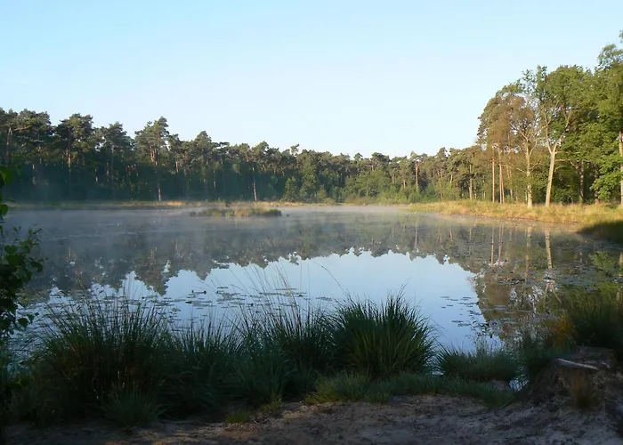 シャレー Appelvink, Toplocatie In Bosrijke Omgeving