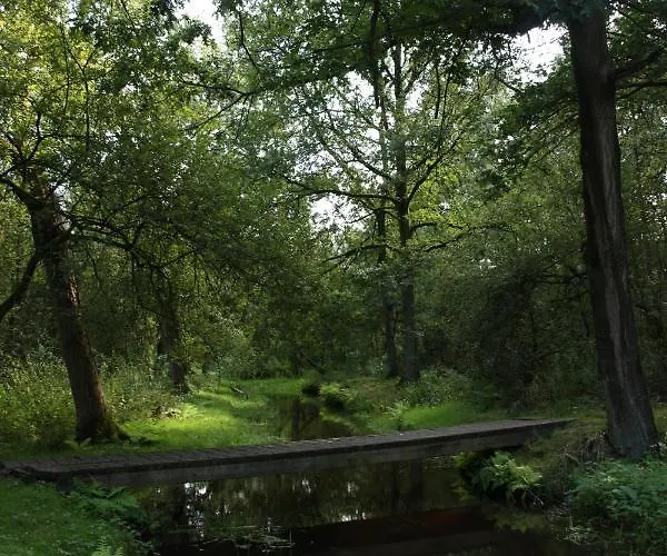 シャレー Appelvink, Toplocatie In Bosrijke Omgeving *