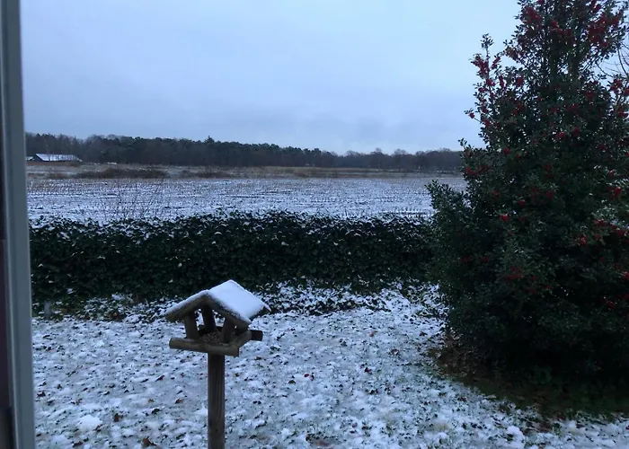 Appelvink, Toplocatie In Bosrijke Omgeving * オーイステルウェイク