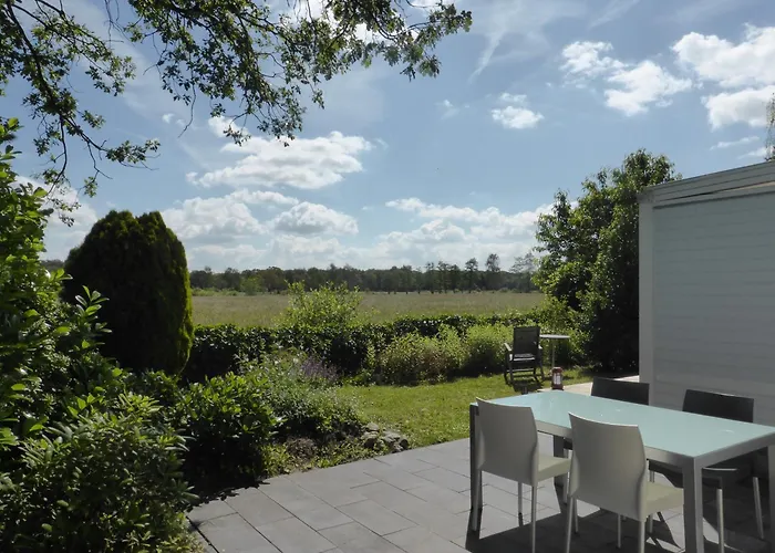 Appelvink, Toplocatie In Bosrijke Omgeving * オーイステルウェイク