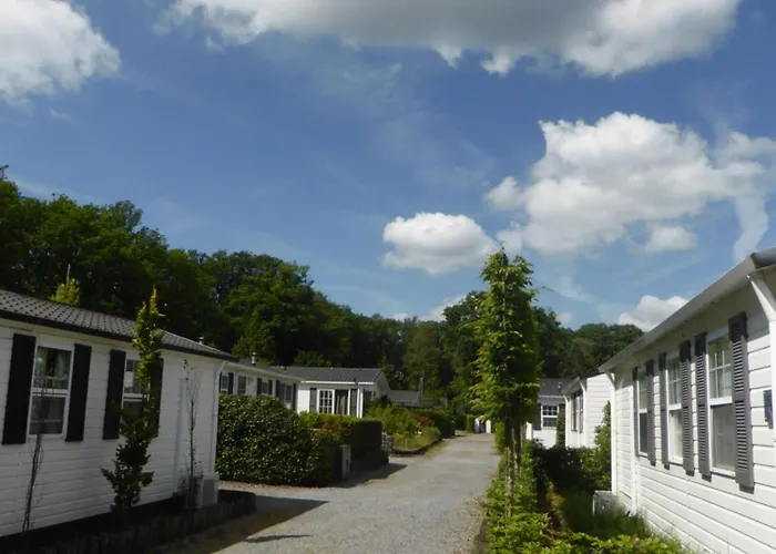 シャレー Appelvink, Toplocatie In Bosrijke Omgeving オーイステルウェイク