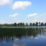 Appelvink, Toplocatie In Bosrijke Omgeving * Oisterwijk