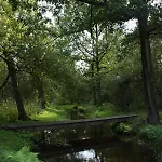 Chalet Appelvink, Toplocatie In Bosrijke Omgeving *